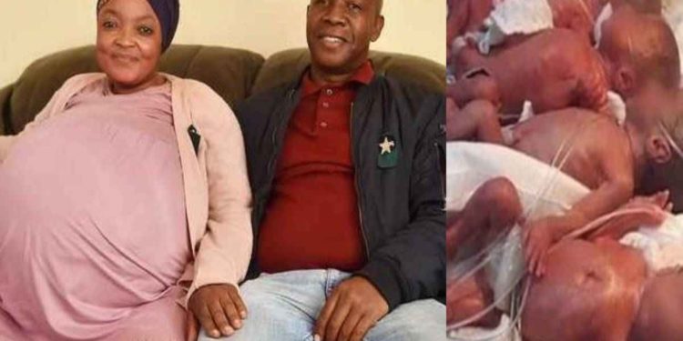 En Sudáfrica, mujer da a luz a 10 bebés y rompe récord mundial