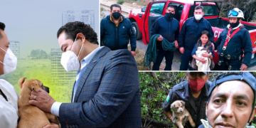 enrique vargas perritos