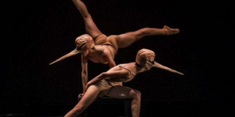 Compañía de Danza del Estado de México cumple dos años