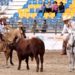 Edomex avanza en el Campeonato Nacional Charro 2021