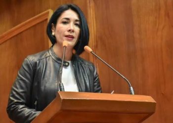 Morena propone ampliar presupuesto para tratar la violencia de género