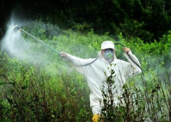 México reafirma su compromiso con la seguridad agroalimentaria