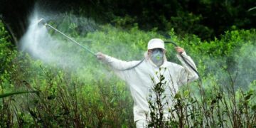 México reafirma su compromiso con la seguridad agroalimentaria